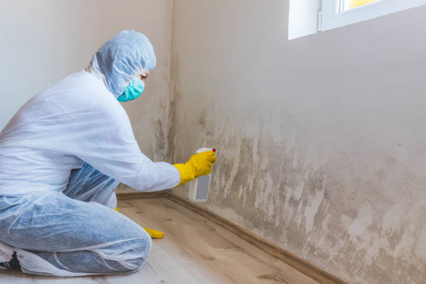 Hvac And Air Duct Mold Remediation inspection of HVAC system in Allenhurst
